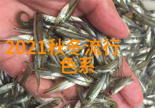 新生代音乐人演出年轻音乐人的热烈演出