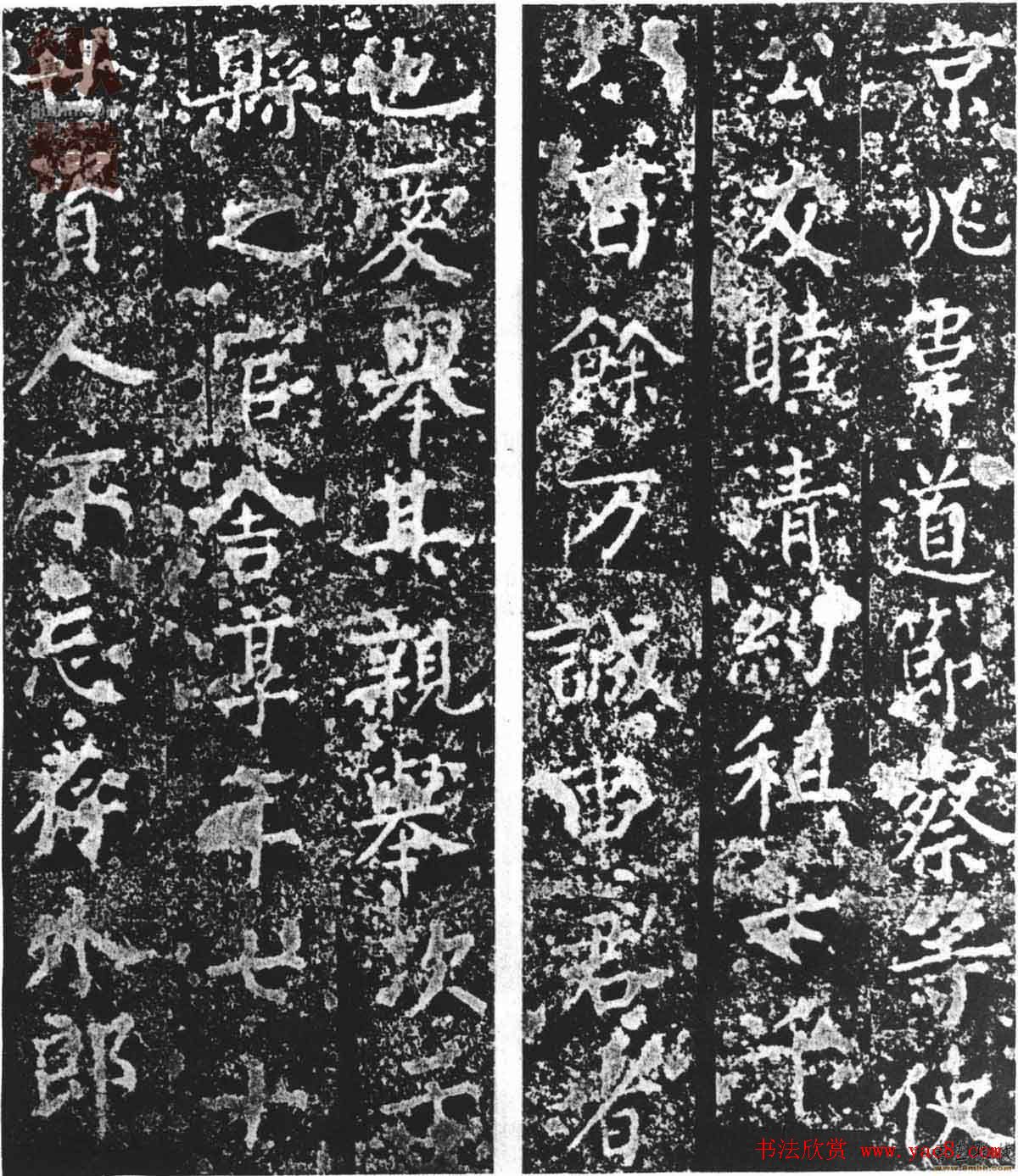种子加速器我的成功之路