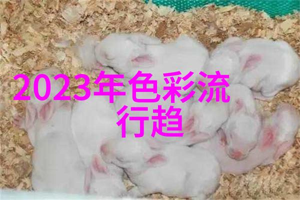 遮光又隐蔽记得给卧室挑合适的窗帘