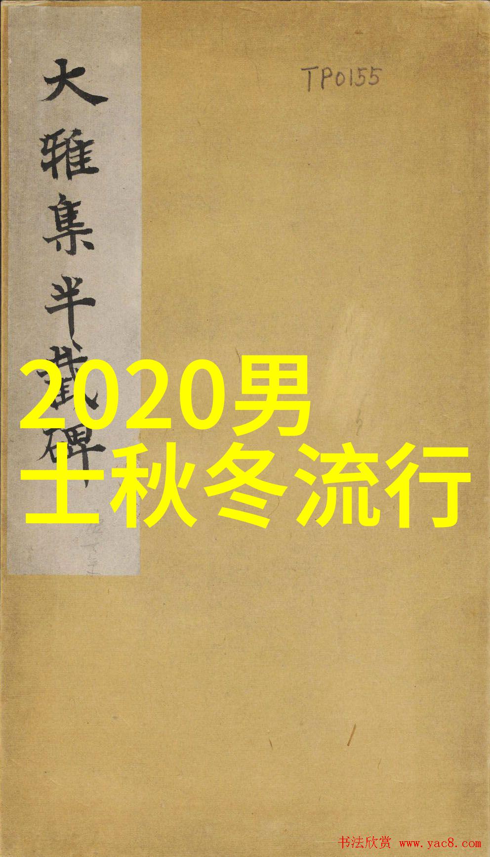 2022夏季时尚女装流行趋势数据驱动的时尚潮流指南
