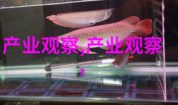 如何才能学得好化妆巧妙处理淡妆中的露线问题