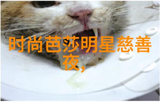 在沈阳的风起云涌中有一所名为恒恋国际化妆学校它如同一个传说中的秘密花园藏匿着如何打造自然眉的一切秘密