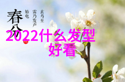 秋冬时尚新篇章2021年流行趋势大胆色彩与复古元素的结合