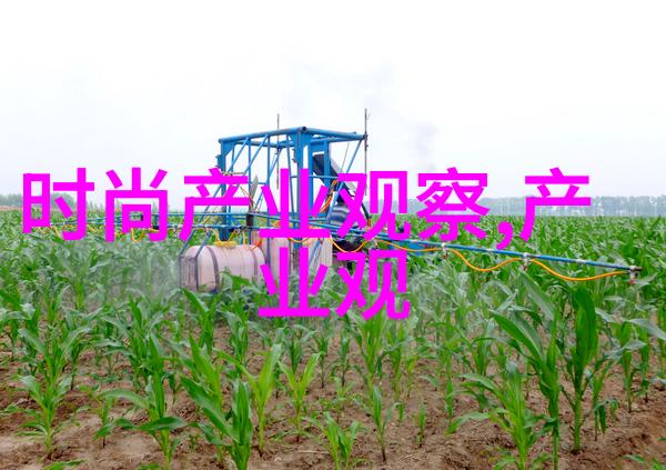 老师教学教育学术