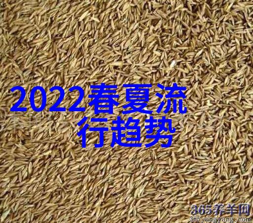 宠你一辈子香朵儿