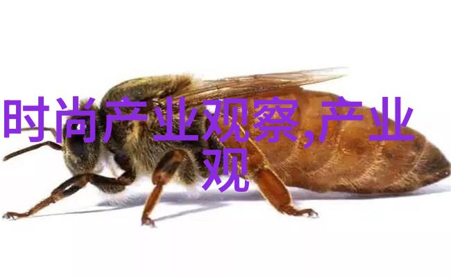 旅行要了妈妈三次亲儿子的背包日记