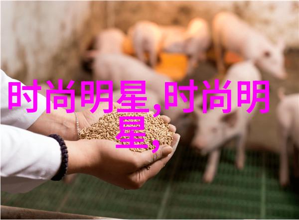 30种BB形态美妆界的多样魅力