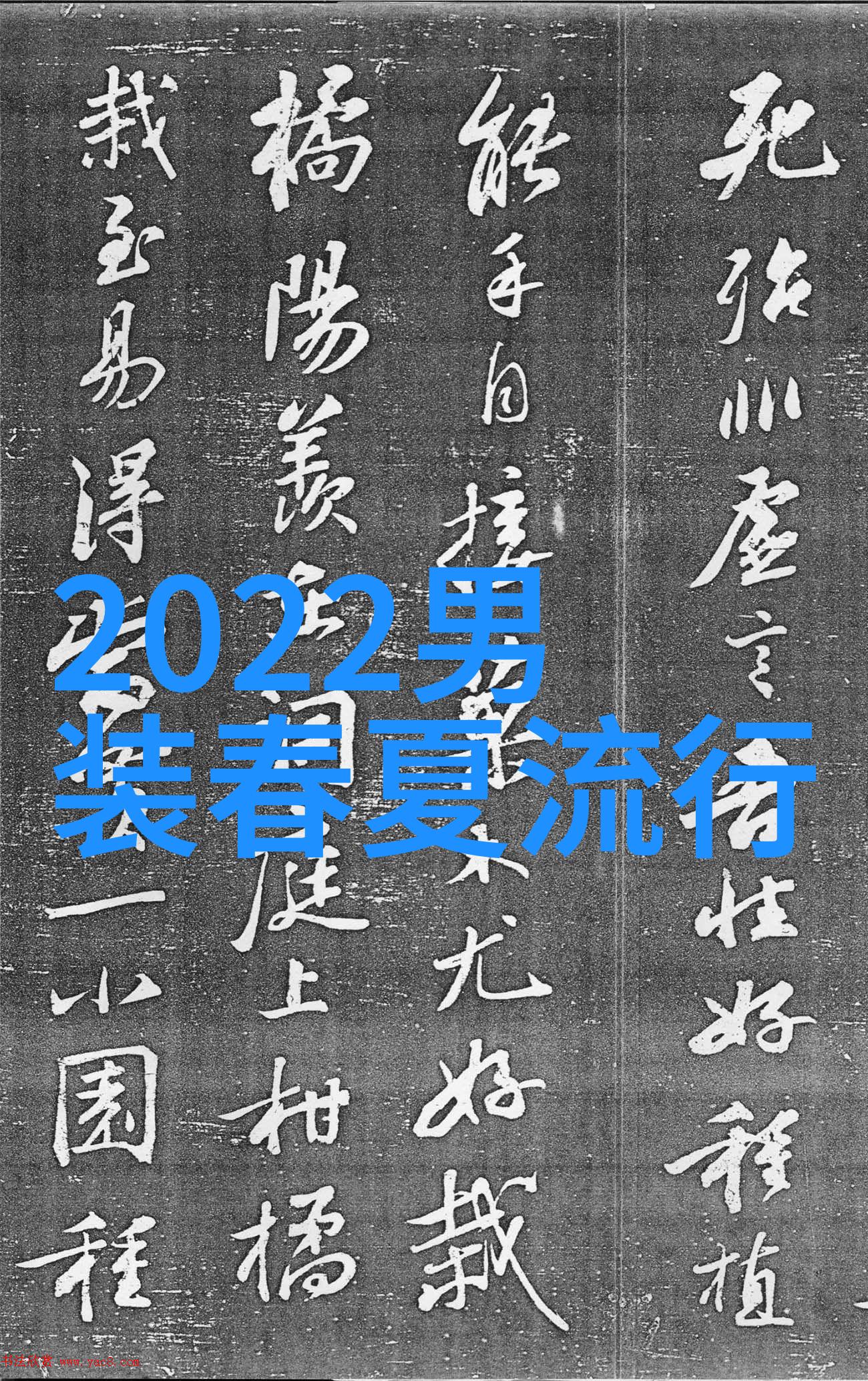 2020年流行女牛仔裤款式时尚牛仔裤设计