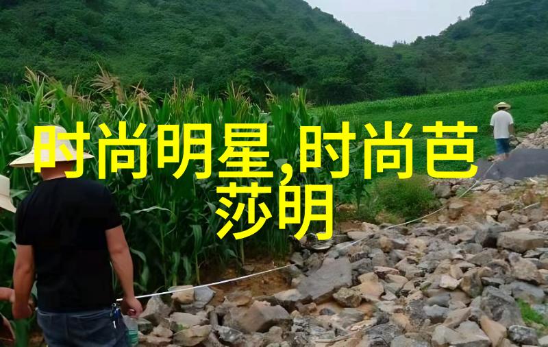 家有囍事 - 家庭团圆喜庆的囍事与温馨的家宴
