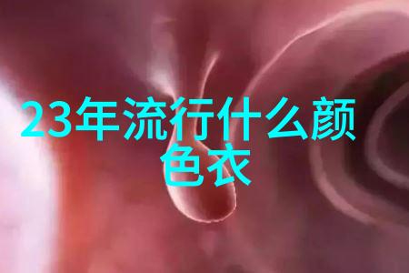 凸凸凹BBWBBWBBWBBW丰满美的魅力展现