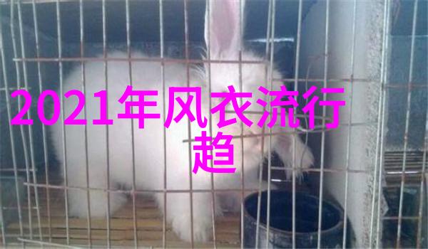 纳粹荒淫史 电影他们的疯狂之夜揭秘纳粹高级官员的荒淫生活