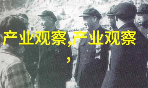 老虎的守护者菲克传奇的复兴