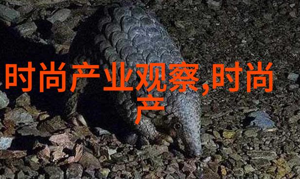 探索无限乐趣免费网站观看的艺术与科技