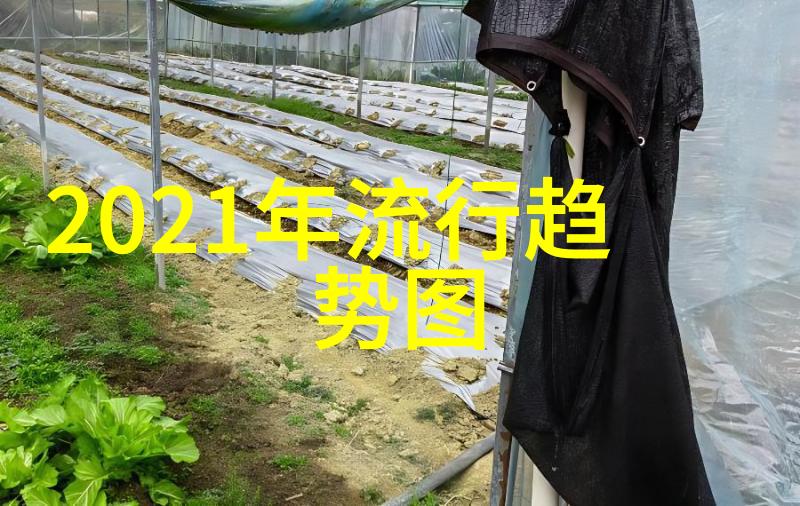 夏日的海滩冈本渚的宁静与热情