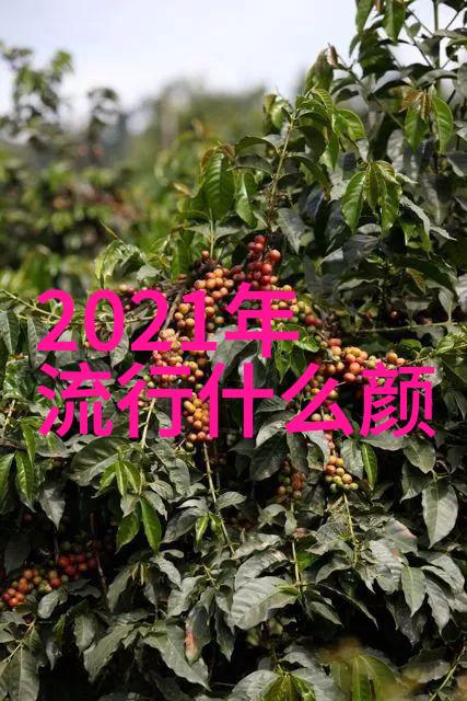 真实身份热映前瞻横滨流星与紧张对峙的中文字幕MV7首发