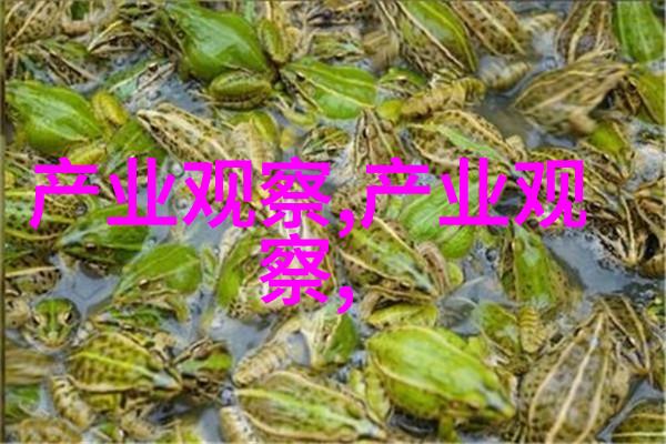再往里面点啊探索视频内容深度的艺术与技术
