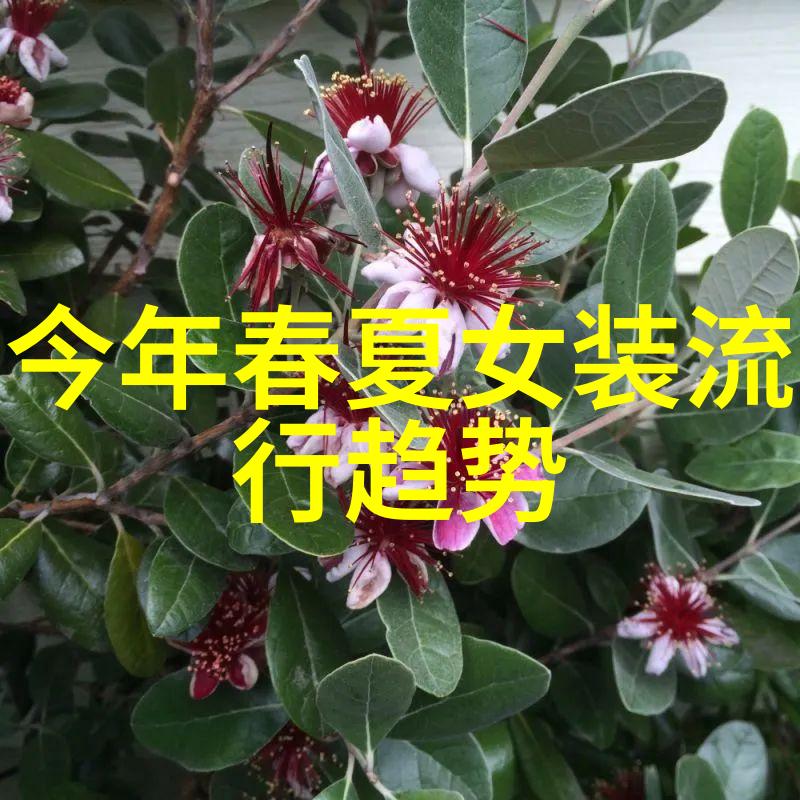 2021年穿搭流行趋势我是怎么在追逐时尚的同时也保持个性的