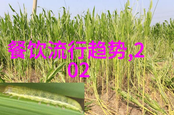 老师在地下做了一节课创意思考与教育创新