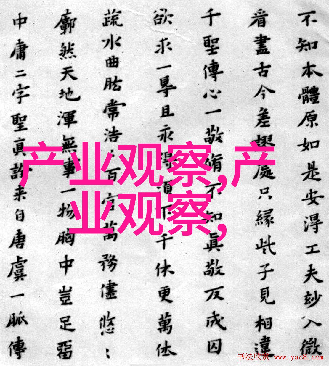 2023年中国服装流行趋势数据驱动的时尚潮流与陈乔恩的领衔作用