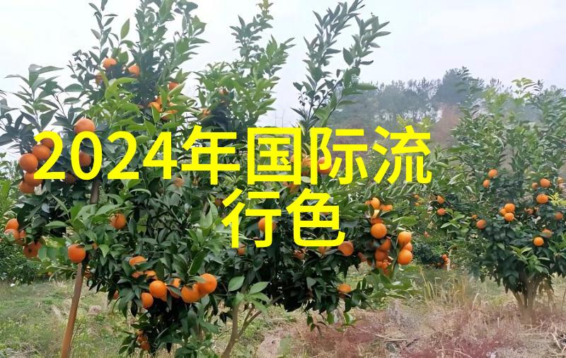 这些比花还美是花架本身便是艺术品