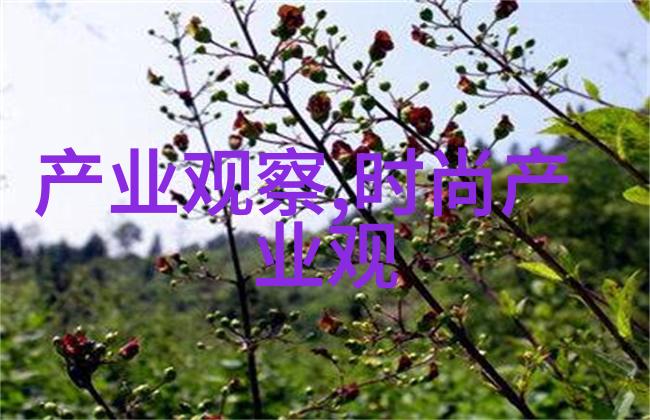 母爱绽放探索中文字幕高清视频中的家庭美好瞬间