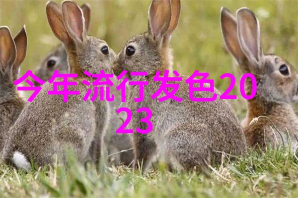 秋冬色彩交响曲2021年沉淀与释放的颜料语言
