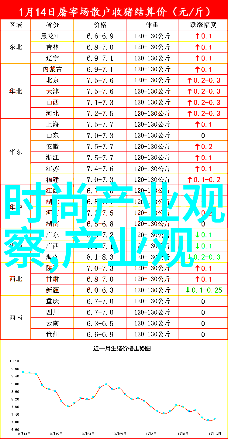 夏日甜蜜揭秘草莓汁背后的故事与营养价值