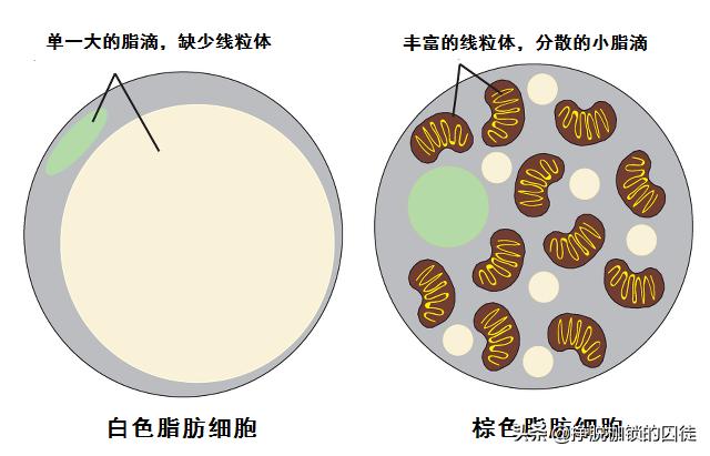 回到明朝当王爷txt我的逆袭奇遇