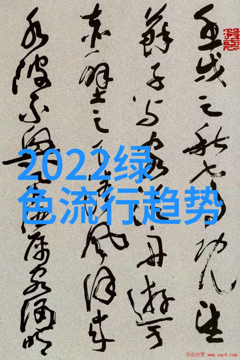 双人床上扑克技巧全解析