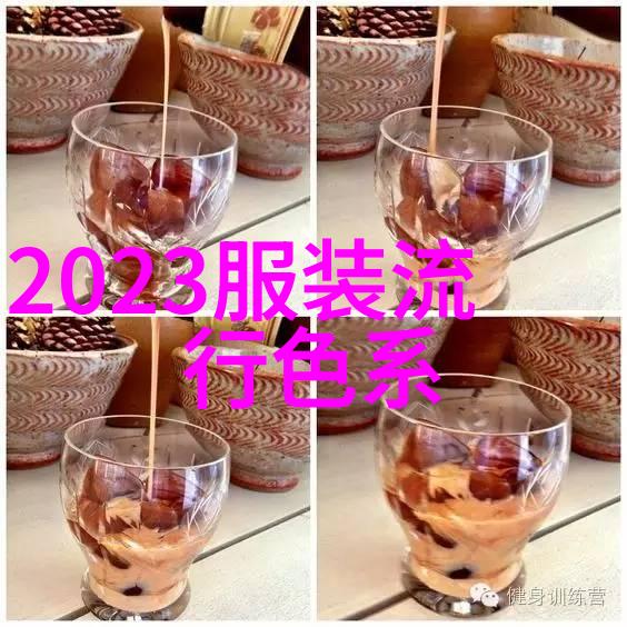 宫廷轻纱小宫女的素彩之谜