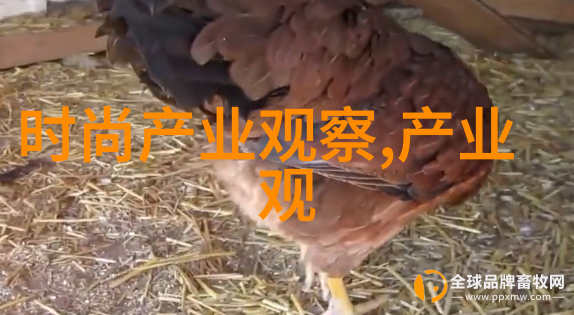 天使宝贝展示Ochirly2022秋冬时尚新趋势于自然之中