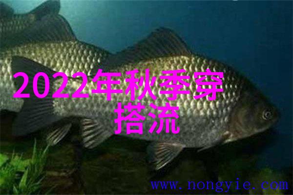 在2021年国际流行趋势女装夏季美国歌手普社T与美国演员小凯文哈里森联袂亮相苏格兰演员凯伦吉兰则以其