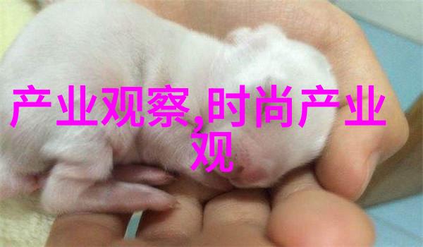 浴室的秘密保安与疯狂的纠葛