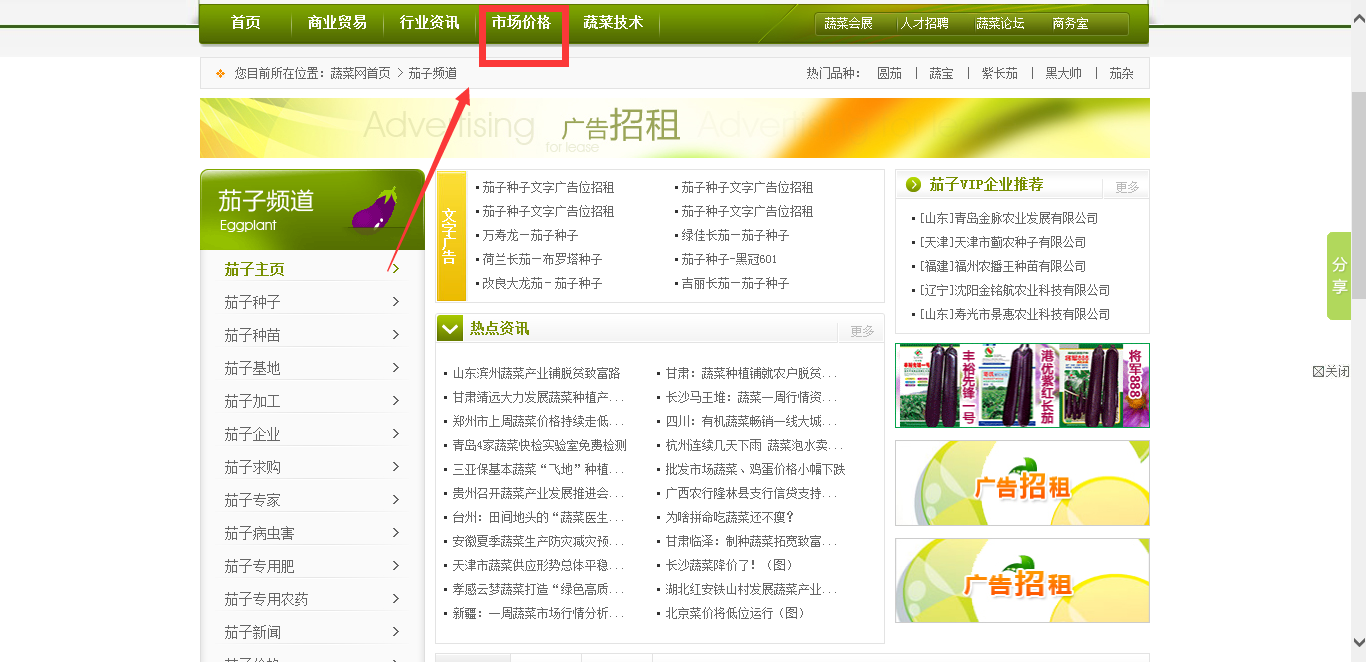 美发师课堂视频法式浪漫马尾辫轻松学一步步