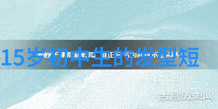 法国空姐完整版剧情HD - 翱翔蓝天的秘密揭开法国空姐HD电影中的故事深层含义