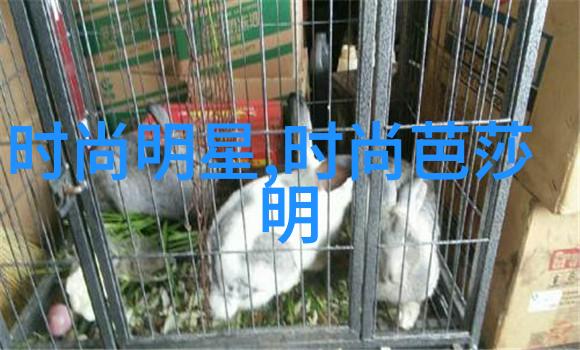 夏日长袭梦绘天际