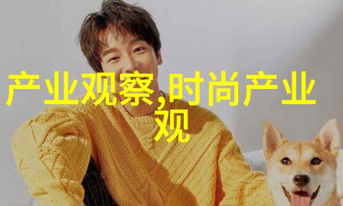 穿越时尚的迷雾揭秘服装流行元素之谜