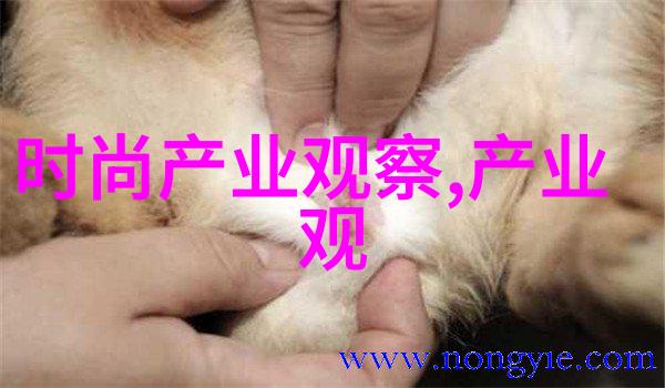 瑜伽学习体验我今天上了一节超级好的瑜伽课