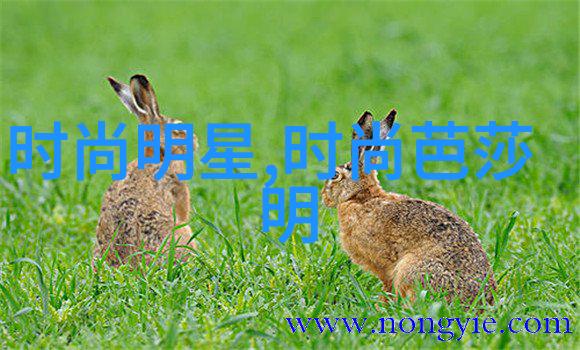 我等不及了现在就给我视频