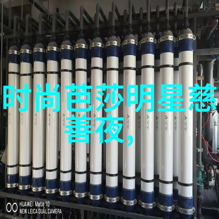 染指首席总裁权力与爱的交织