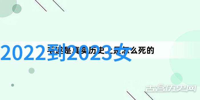 家有乖仔探索家庭与儿童之间的深厚情感