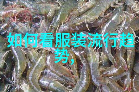 在法国时尚之都阿尔伯特菲尔蒂的2019春夏女装秀如同一场探险之旅带领观众穿越到一个充满新鲜感和梦幻色