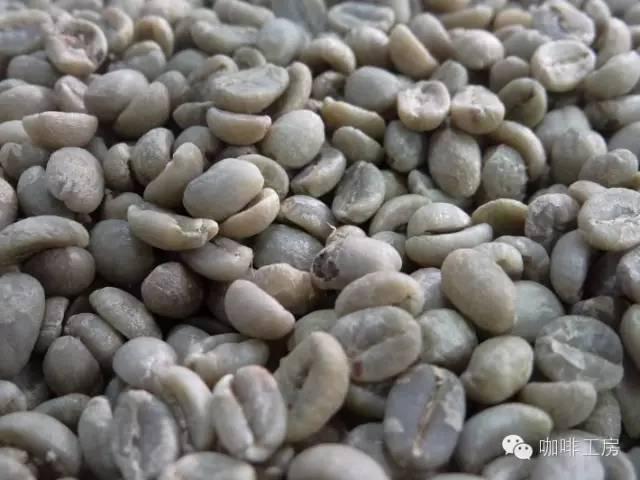 魔兽之主驭兽道的秘密与挑战