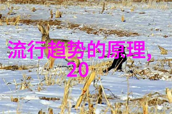 秋冬时尚新篇章暖色调与复古元素的并存趋势