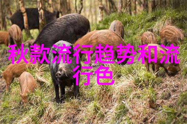 异世农场主-跨越星际的绿茵梦想异世农场主的奇迹