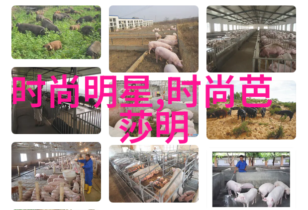 高树玛利亚下载我就告诉你这不简单的秘密