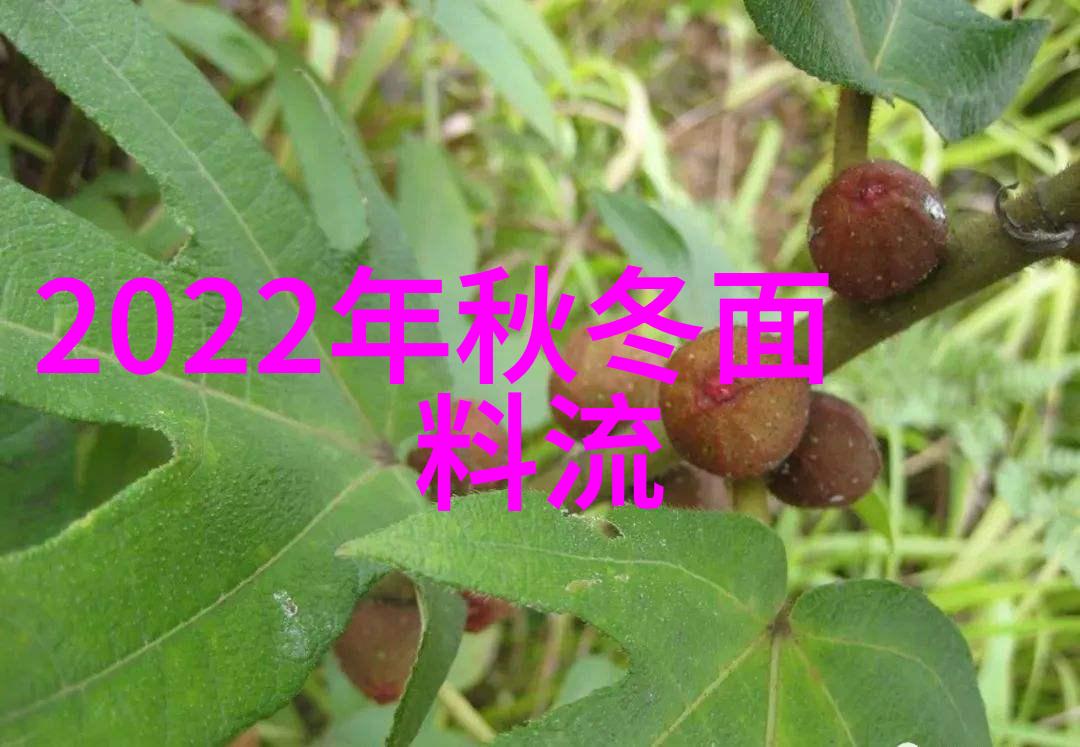 雅诗兰黛香水之夜宝格丽茉莉的梦幻诱惑