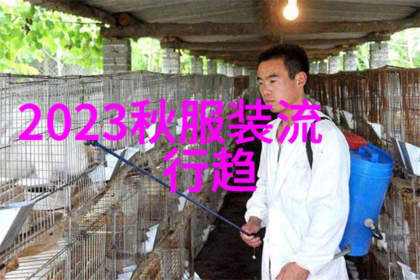 黄色的守护者门卫的故事