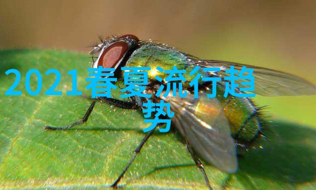当前流行趋势我是不是该跟上健康生活这个热潮了