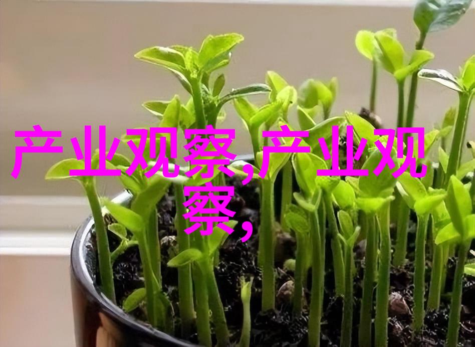 2023流行色彩趋势分析下的缤纷彩宝真我系列True Square机械腕表以璀璨姿态走红时尚舞台